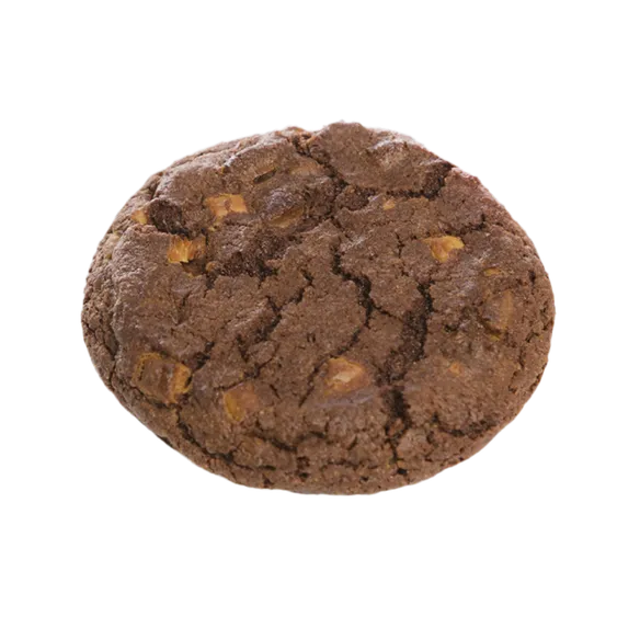 Choco cookie with white choko